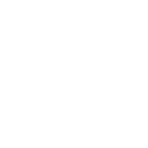 LinkedIn social media icon